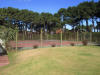 CANCHAS DE TENNIS EN COMPLEJO